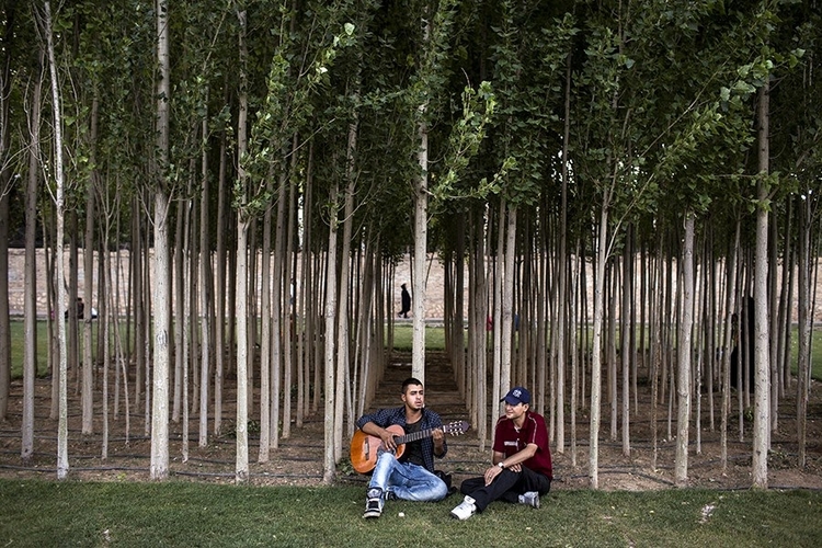 Gra na gitarze w parku w Shiraz.
Fot. Hossein Fatemi